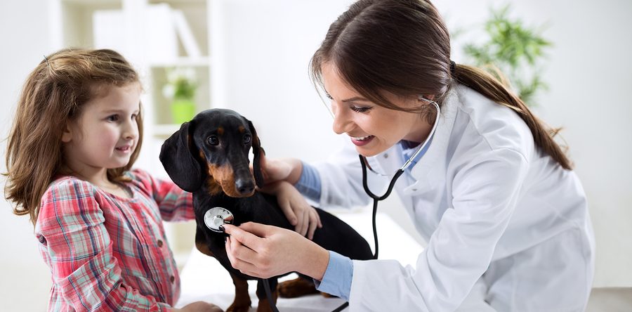 4 Social Media Tips for Veterinarians